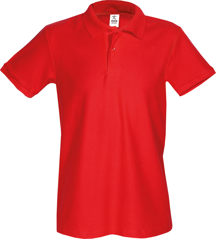 Ανδρικό Polo 100%cotton 200gr COLORS - Image 17
